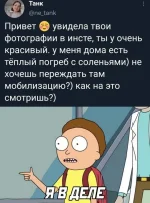 17205538.webp