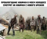 17206811.webp