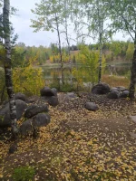 IMG-20220923-WA0031.webp