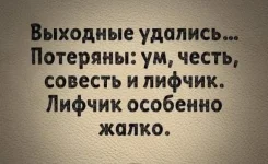 a9830208_resizedScaled_740to542.webp a9830208_resizedScaled_740to542.webp