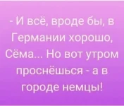 1664003271859.webp