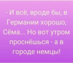 1664003271859.png