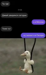 17210854.webp