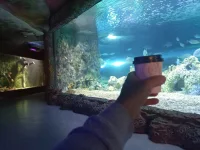20220925_101041.webp