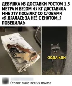 1615481380_originalnye-kommentarii-k-kartinkam-i-foto-5.webp
