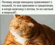 17216392.webp 17216392.webp