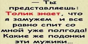 17216595.webp