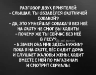 17216761.webp