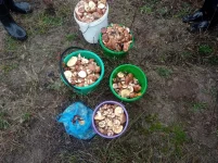 IMG-20220927-WA0001.webp