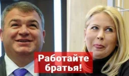 17221395.webp