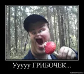 1664479414127.webp 1664479414127.webp