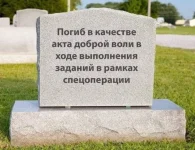 17233931.webp