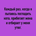 17234975.webp