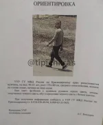17236356.jpg