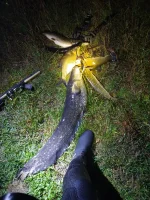 IMG-20221003-WA0002.webp IMG-20221003-WA0002.webp