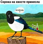 17241248.webp
