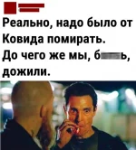 17237687.webp