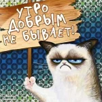 17242560.webp
