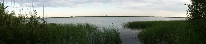 20180705_184624.webp