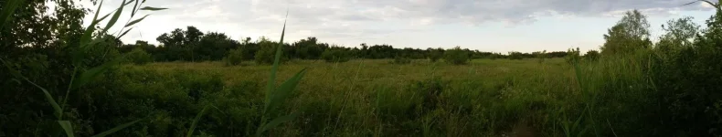 20180705_184718.webp