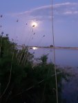 20190518_211507.jpg
