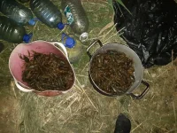 20190524_003352.webp