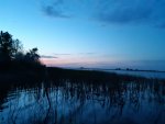 20190524_040357.jpg