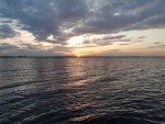 20190524_044805.jpg