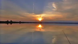 P1540043.webp