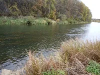 IMG_20190928_100037.jpg