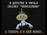 17253030.webp