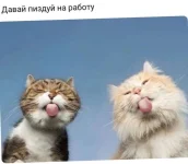 17253560.webp
