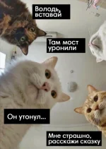 17257953.webp