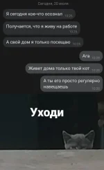 17257540.webp