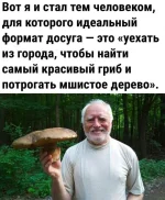 17257569.webp