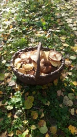 IMG-20221008-WA0001.webp
