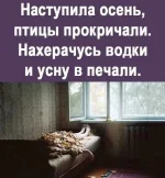 17258812.webp