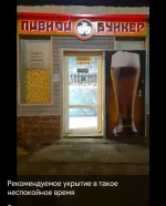 17265582.webp