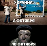 17265997.webp