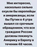 17269264.webp