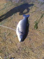 IMG-20221011-WA0004.webp