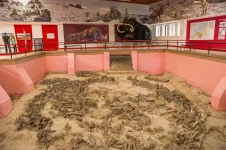 state-archaeological-museum-reserve-in-kostenki.webp