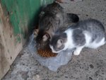 IMG_20221016_174034.jpg