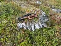 IMG-20221019-WA0014.webp