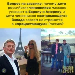 17300098.webp