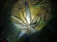 IMG-20221022-WA0001.webp