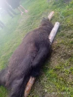 IMG-20221022-WA0011.webp