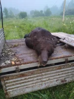 IMG-20221022-WA0010.webp