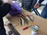 20221022_192358.webp
