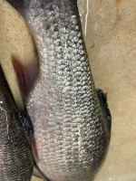 IMG-20221023-WA0019.webp